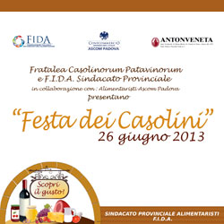 casolini2013